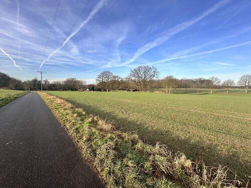 Feld vor der Türe - 