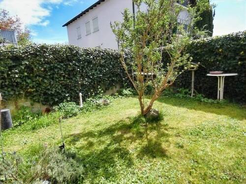 Garten hinter dem Haus - 