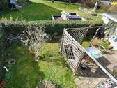 Terrasse mit kleinem Garten - 