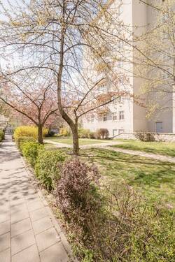Bild 15 - 