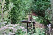 Gartendetail - 