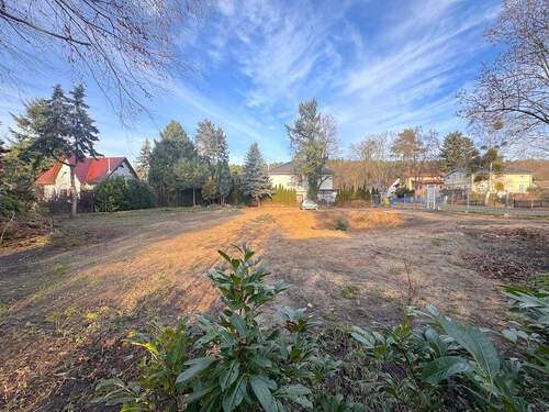 Grundstück - Grundstück zum Kaufen in Potsdam