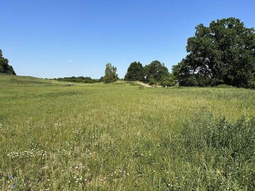 Bild 2 - 2 Baugrundstücke in Breetze - 120.000,00 EUR Kaufpreis, ca.  0,00 m²