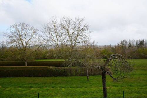 Aussicht ins grüne - 