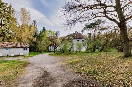 Zufahrt zum Haus - Mehrfamilienhaus, Wohnhaus mit 278,10 m² in Adendorf zum Kaufen