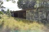 Schuppen - 