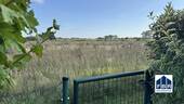 Blick auf das angrenzende Feld - 