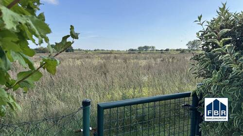 Blick auf das angrenzende Feld - 