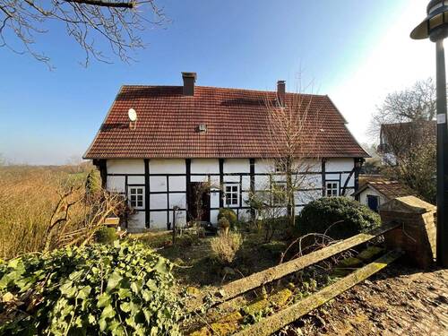 Seitenansicht - Blick von der Straße - 