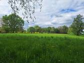 separate Wiese - 