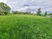 separate Wiese - 