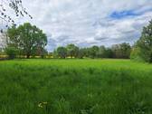 separate Wiese - 
