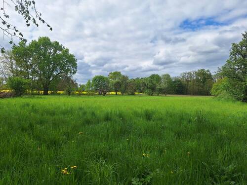 separate Wiese - 