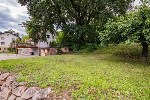 Wiese - 