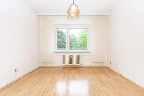 Zimmer - 