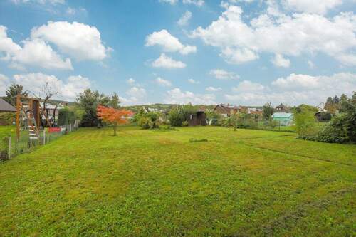 Blick in den Garten - 