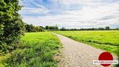 Der Wiesengrund - 