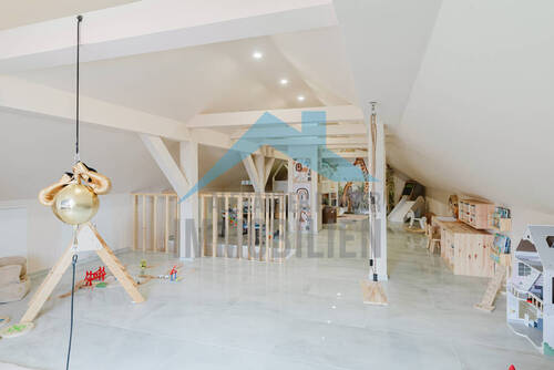 Spitzboden - 