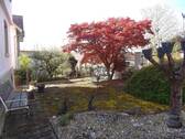 Aussenbereich - 