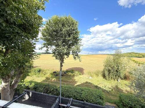 Blick über das Feld - 1 - 