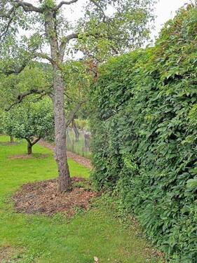 Wochenendgrundstück Neubrandenburg - 