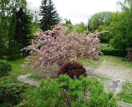Blick in den Garten (Sommer) - Schöne 2-Zimmerwohnung mit Sonnenterrasse und herrlichem Ausblick in den großen parkähnlichen Garten