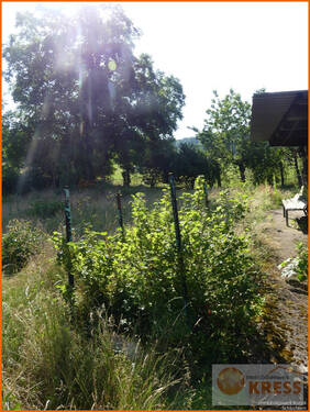 Bild 29 - 