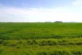 Nachbarschaft - 