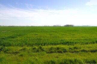 Nachbarschaft - 