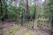 Grundstückszufahrt (2).jpg - Grundstück in Borkheide