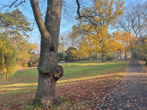 IMG_1209.jpeg - Zwischen Parks und Frieden - Ihr neues Zuhause im grünen Herzen Zehlendorfs