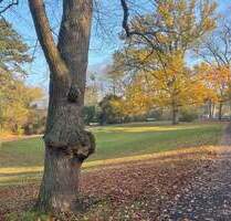 Zwischen Parks und Frieden - Ihr neues Zuhause im grünen Herzen Zehlendorfs - Berlin Dahlem