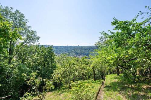 Obstgarten - Grundstück in Stuttgart