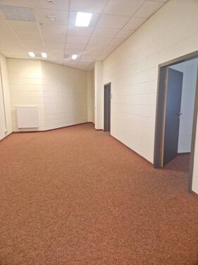 20231124_131207.jpg - 