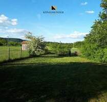 Vielfältiges Gartengrundstück in Altingen-991?m² für Naturgenuss, Gartenfreude und kreative Projekte - Tübingen Innenstadt