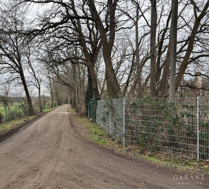 Grundstücksgrenze nach links - Grundstück zum Kaufen in Golzow