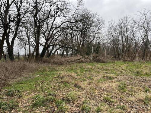 Blick vom Grundstück nach links - Grundstück in Golzow zum Kaufen