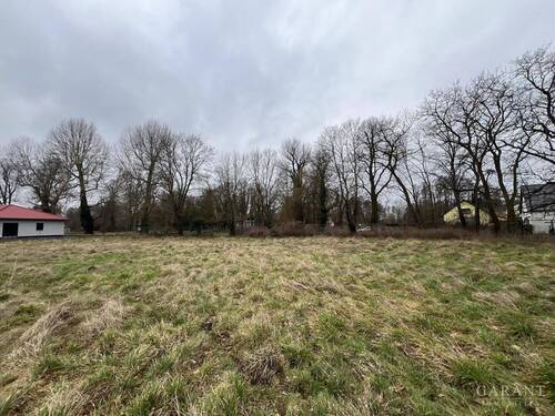 Blick Richtung Grundstücksgrenze straßenseitig - 