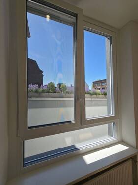 Neue Fenster mit Insektenschutz.jpg - 