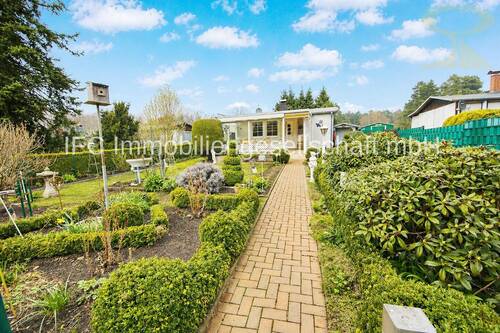 Blick auf Haus und Grundstück - einzugsbereiter Bungalow in Waldrandlage von Coswig (Anhalt) OT Möllensdorf