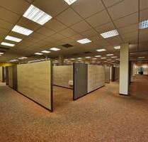 außergewöhnliches Geschäftsobjekt mit vielen Vorzügen - Fläche Teilbar - ideal für Bürogemeinschaften, Callcenter, etc. - Döbeln