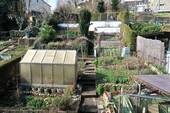 Garten - 