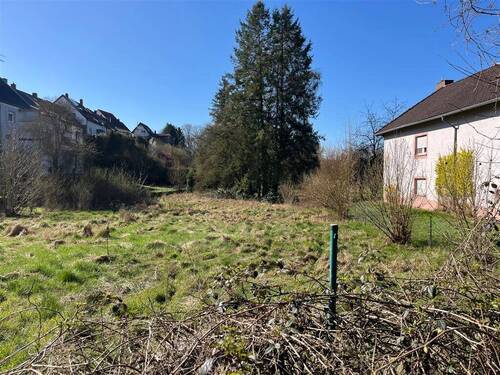 IMG_2981 - Grundstück zum Kaufen in Kottweiler-Schwanden