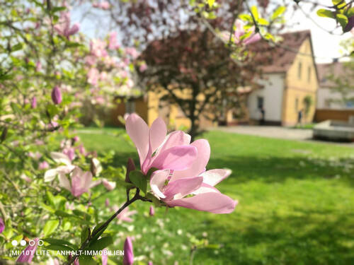 Gartenansicht 4 - 
