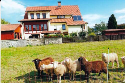 Landhaus in Landidylle - 7 Zimmer Mehrfamilienhaus, Wohnhaus zum Kaufen in Rohr
