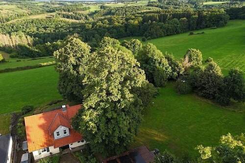 Bild 3 - 8 Zimmer Einfamilienhaus in Breckerfeld