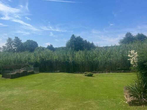 2024-07-18_12.28.48-8.jpg - 