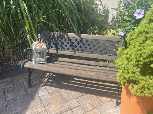 2024-07-18_12.37.49-21.jpg - 