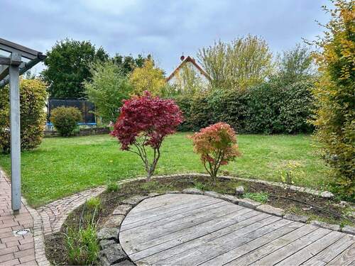 Blick in den eingewachsenen Garten - 