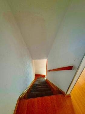 20250911_120310.jpg - 